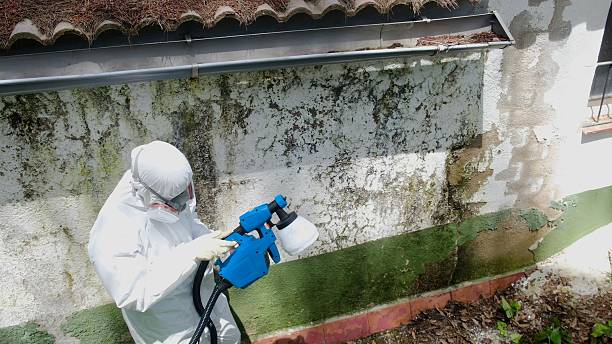 Top rated local Mold Remediation specialists in Paoli, PA